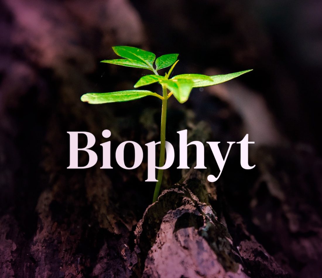 468955940_609551918413268_5728617835836120269_n